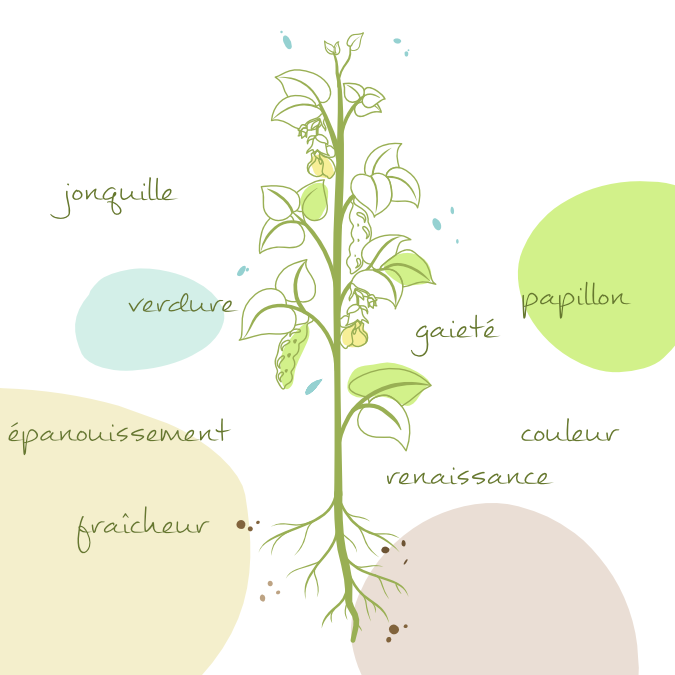 20250319-printemps-visuel-categorie